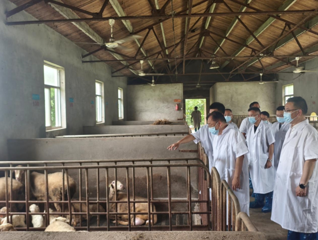 5635c4434b43fae3fd7d12da07307d0f